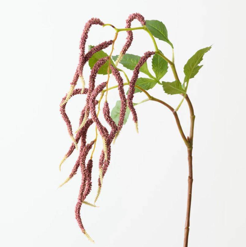 Amaranthus Spray - Pink