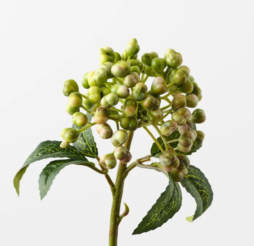 Berry Pick - Green Pink