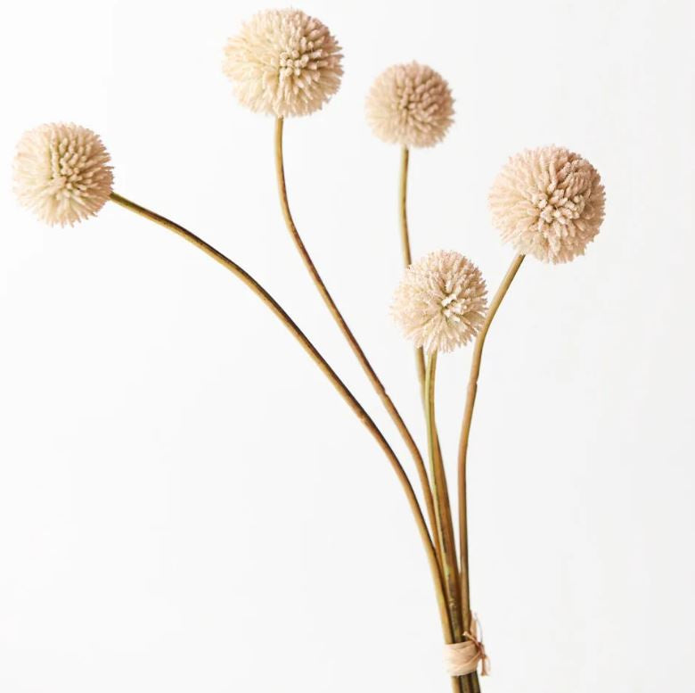 Billy Button Bundle - Cream Pink