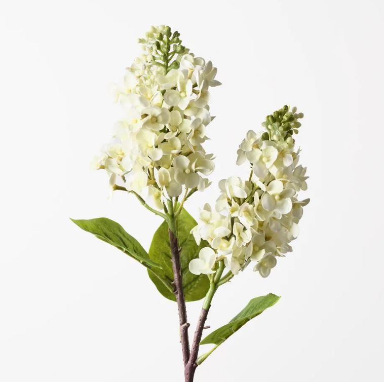 Lilac Spray - Cream