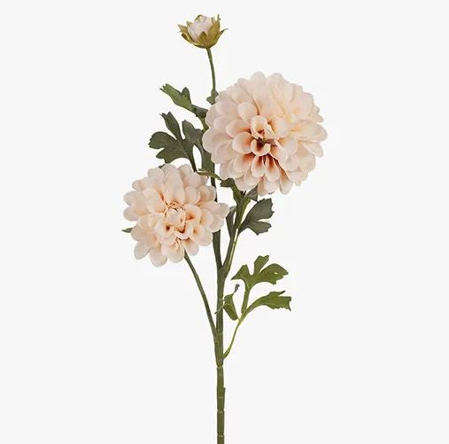 Dahlia Spray - Blush