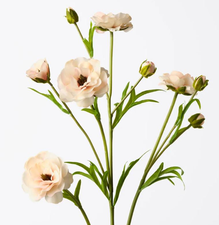 Ranunculus Spray - Peach