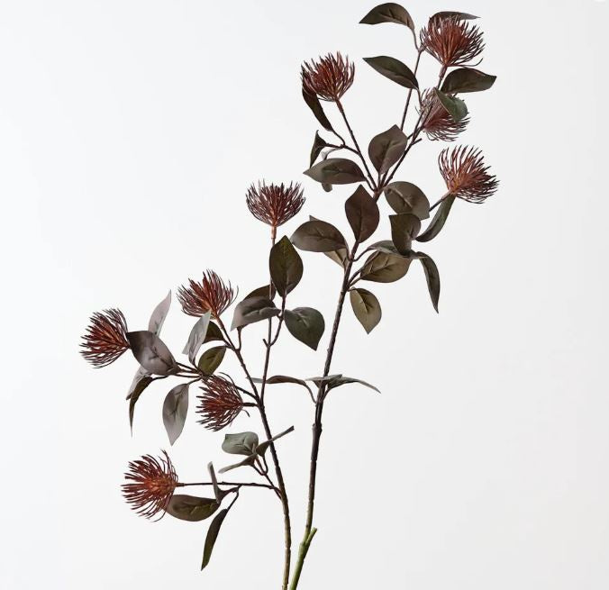 Protea Leucospermum Spray