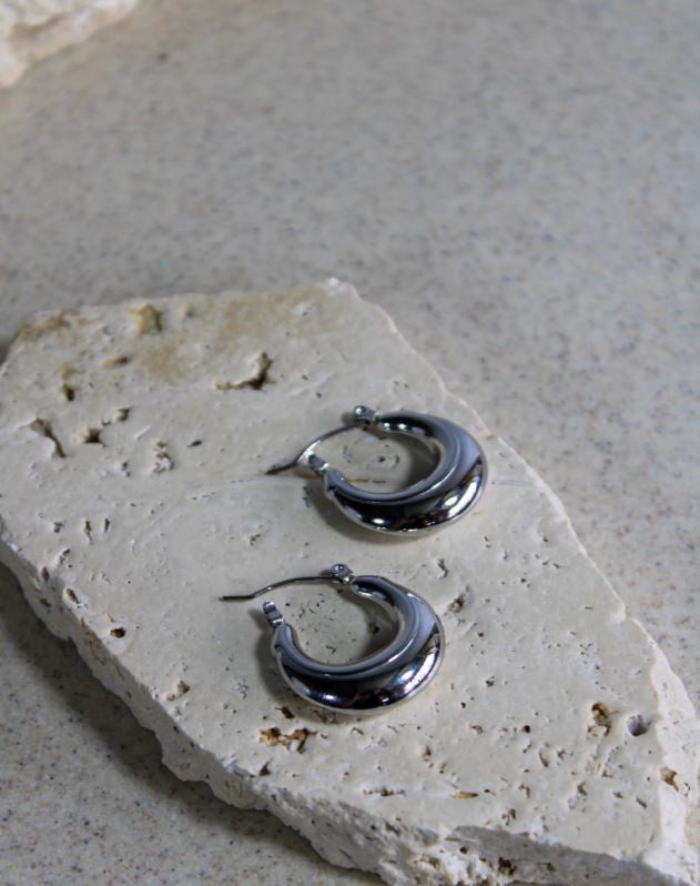 Anitra Silver Earrings