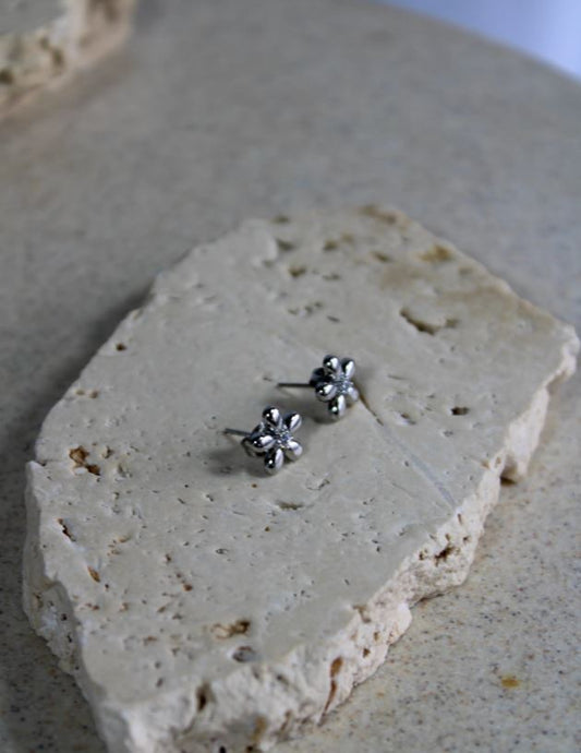 Arion Silver Earrings