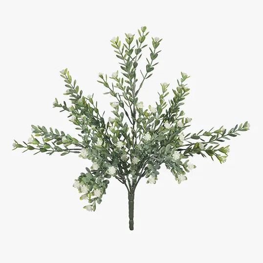 Babys Breath Bush