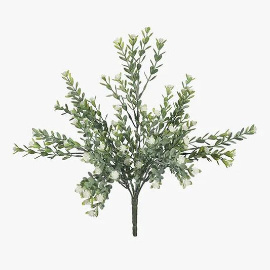 Babys Breath Bush