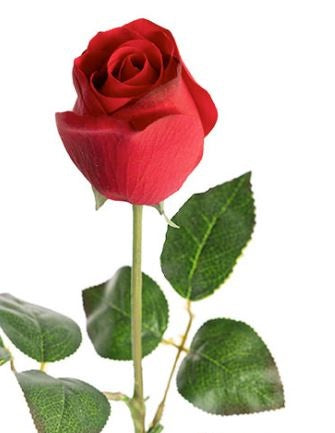 Bella Real Touch Rose Bud Stem - Dark Red