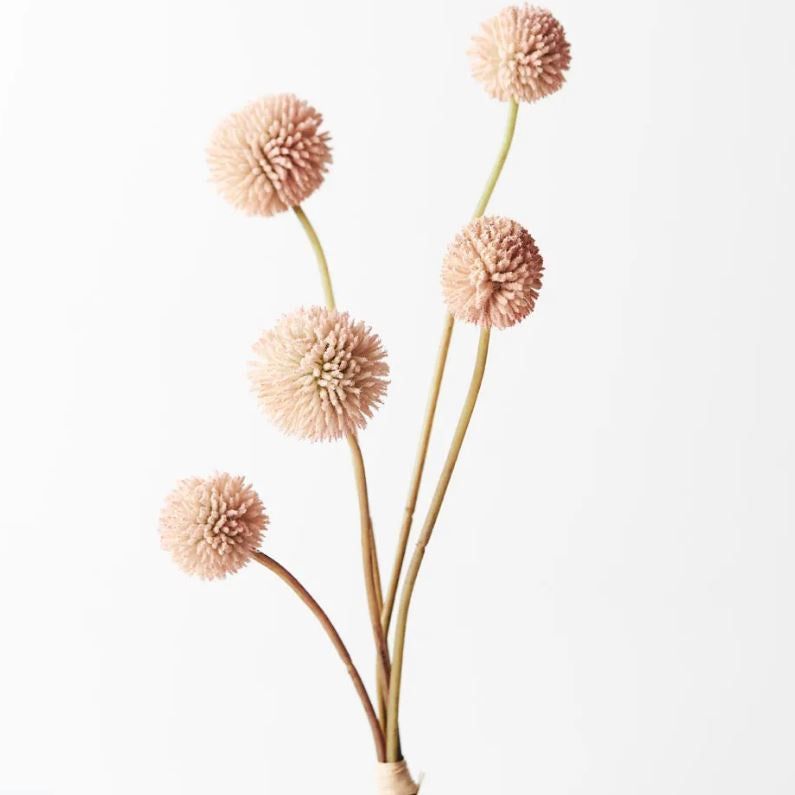 Billy Button - Light Pink