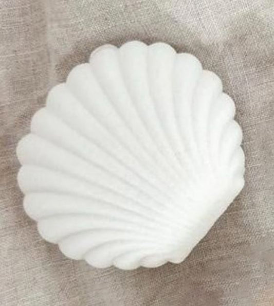 Clam Shell Jewellery Box