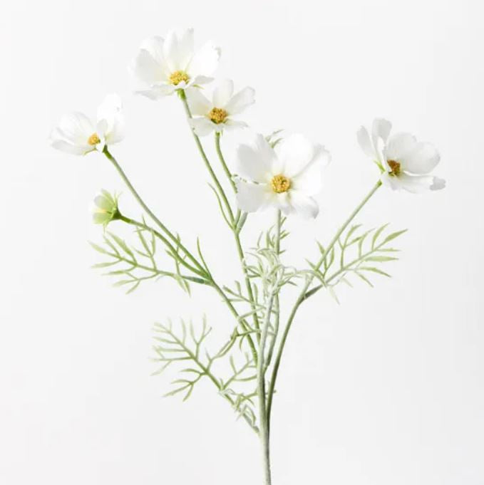 Cosmos Spray - White