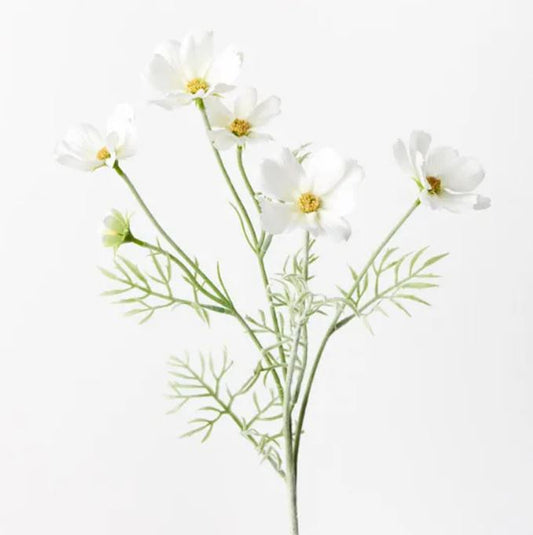 Cosmos Spray - White