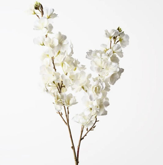 Blossom Cherry - Cream