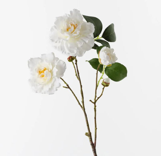 Camellia Spray - Cream