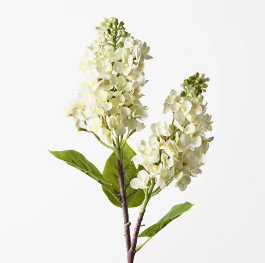 Lilac Spray - Cream