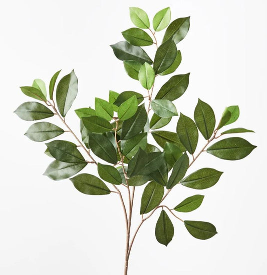 Ficus Leaf Spray - Green