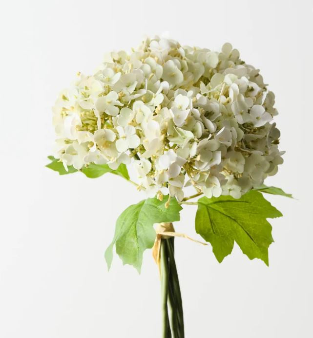 Hydrangea Bundle - Wht/Grn