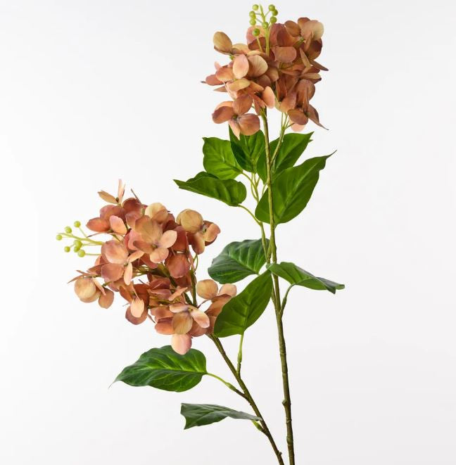 Hydrangea Spray - Rust