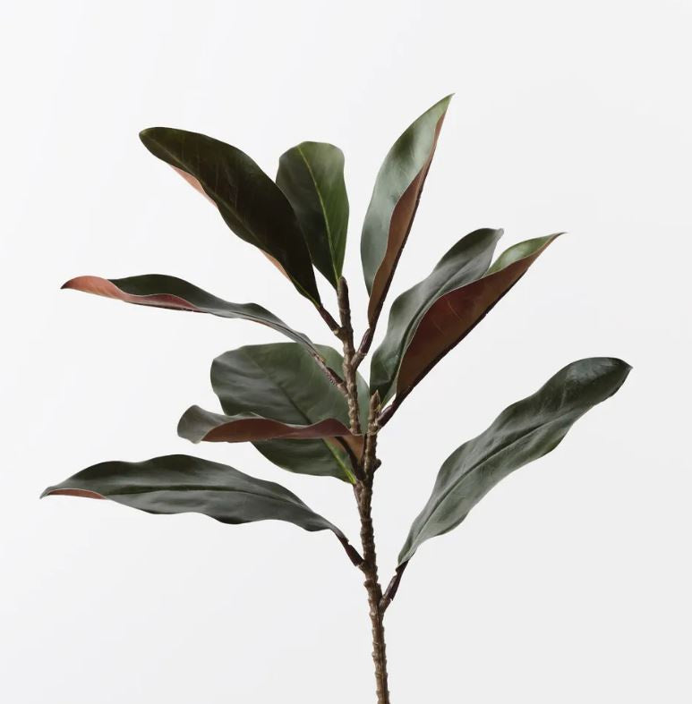 Magnolia Leaf Spray