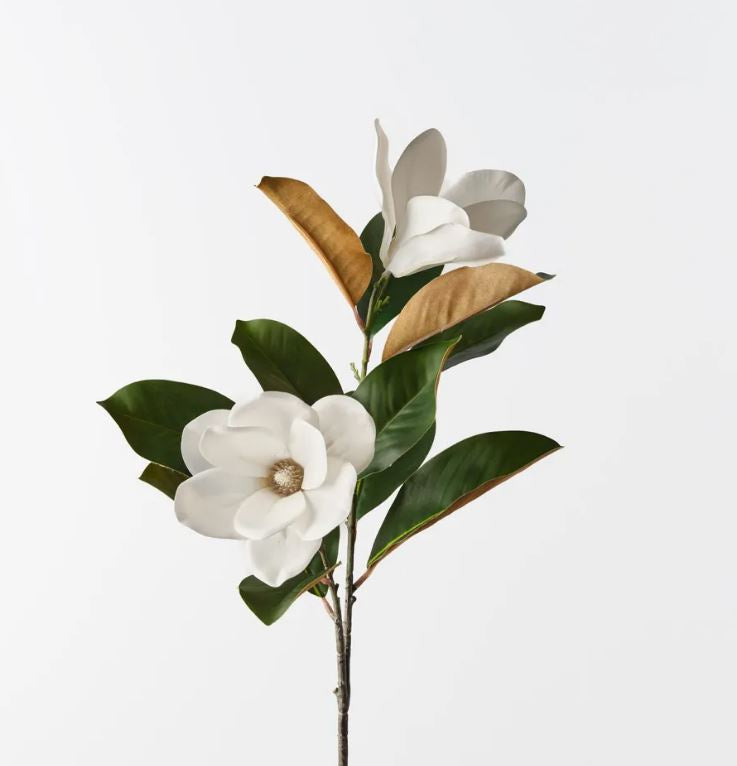 Magnolia Tree Spray