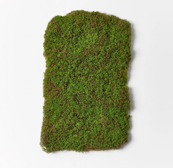 Moss Sheet