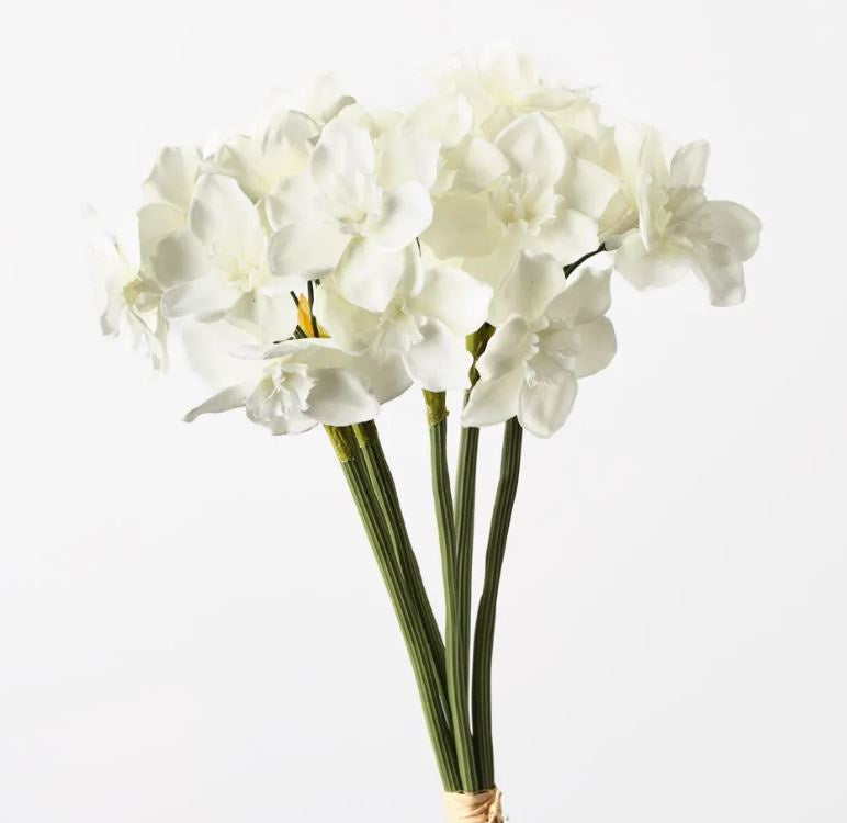 Narcissus Bouquet - White