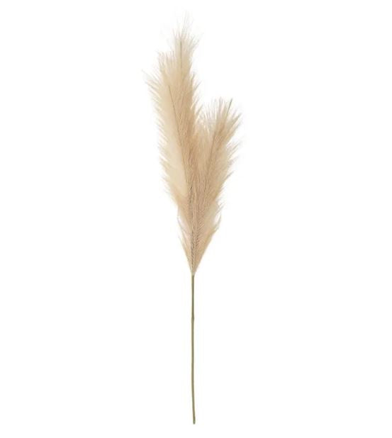 Faux Pampas- Latte 70cm