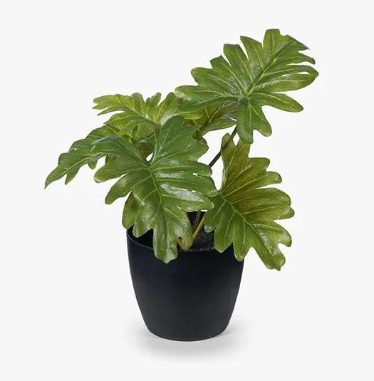 Philodendrum Selloum- artificial