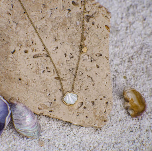Quin Shell Necklace