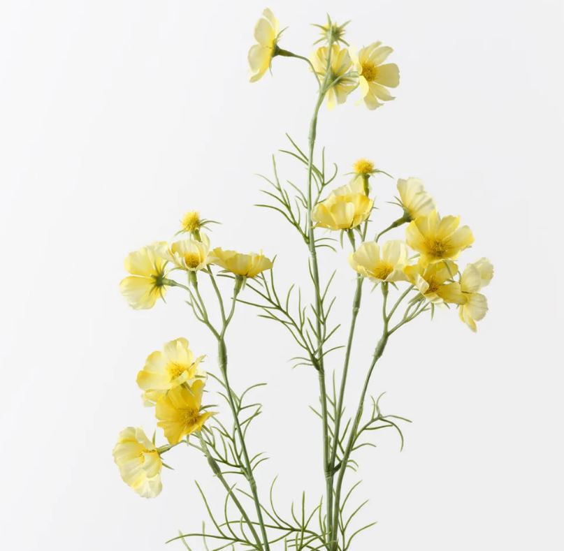 Cosmos Spray - Yellow
