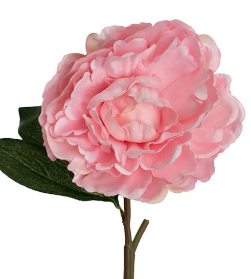 Real Touch Peony Stem - Soft Pink